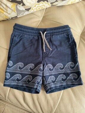 Tea Collection Toddler Boys Shorts.